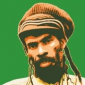 Reggae Knights by Israel Vibration
