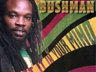 Bushman Get It In Your Mind