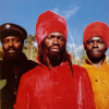 Abyssinians