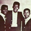 Heptones (the)