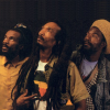 Israel Vibration Photo