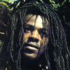 Michael Prophet