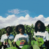 Congos (the)