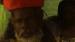 Jah Bull
