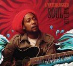 Taj Weekes and Adowa - A Waterlogged Soul Kitchen