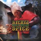 Spice In Your Life