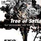 Abyssinians and friends - Tree Of Satta