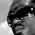 Busy Signal Is Back
