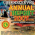 Greensleeves Annual Report 2007