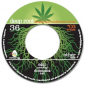 Abassi All Stars - Eko Dub