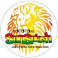 Rototom moves to Spain in 2010 !