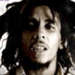 Salute To The Wailers