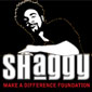 Shaggy: Making A Difference