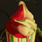 Taste the Rootscream !