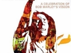 Africa Unite on DVD