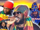 Chezidek Concert : The Rising Sun